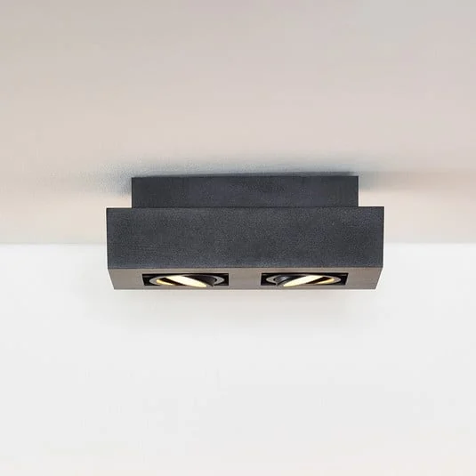 Foco de techo Xirax, 2 luces, negro
