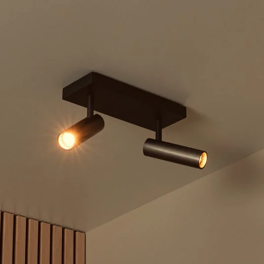 Downlight Grado, longitud 25 cm, gris, metal, 2 luces.