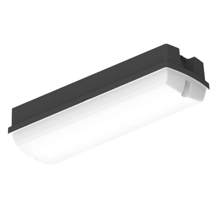 Ledvance Plafón LED Techo/Pared Compact Negro 8W 840lm - 830 Luz Cálida | 356x115mm - IP65