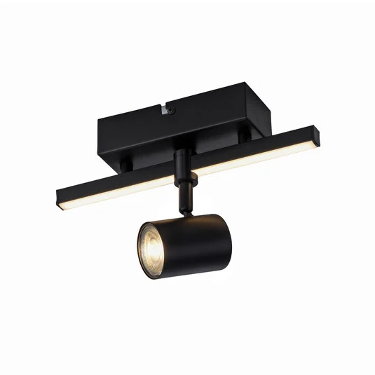 Paul Neuhaus Downlight LED Barik, 26 cm, regulable
