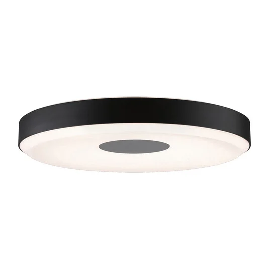 Paulmann Puric Pane II plafón LED en negro