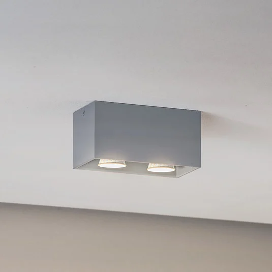 Plafón Ara Maxi de aluminio 2 luces gris