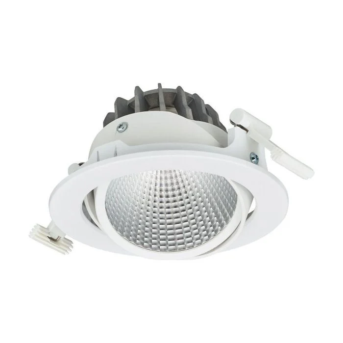 Philips Foco LED Greenspace Accent Cardanic Aluminium Blanco 24W 2900lm 24D - 827 Luz Muy Cálida | 163mm - IP20 - Interact Regulable