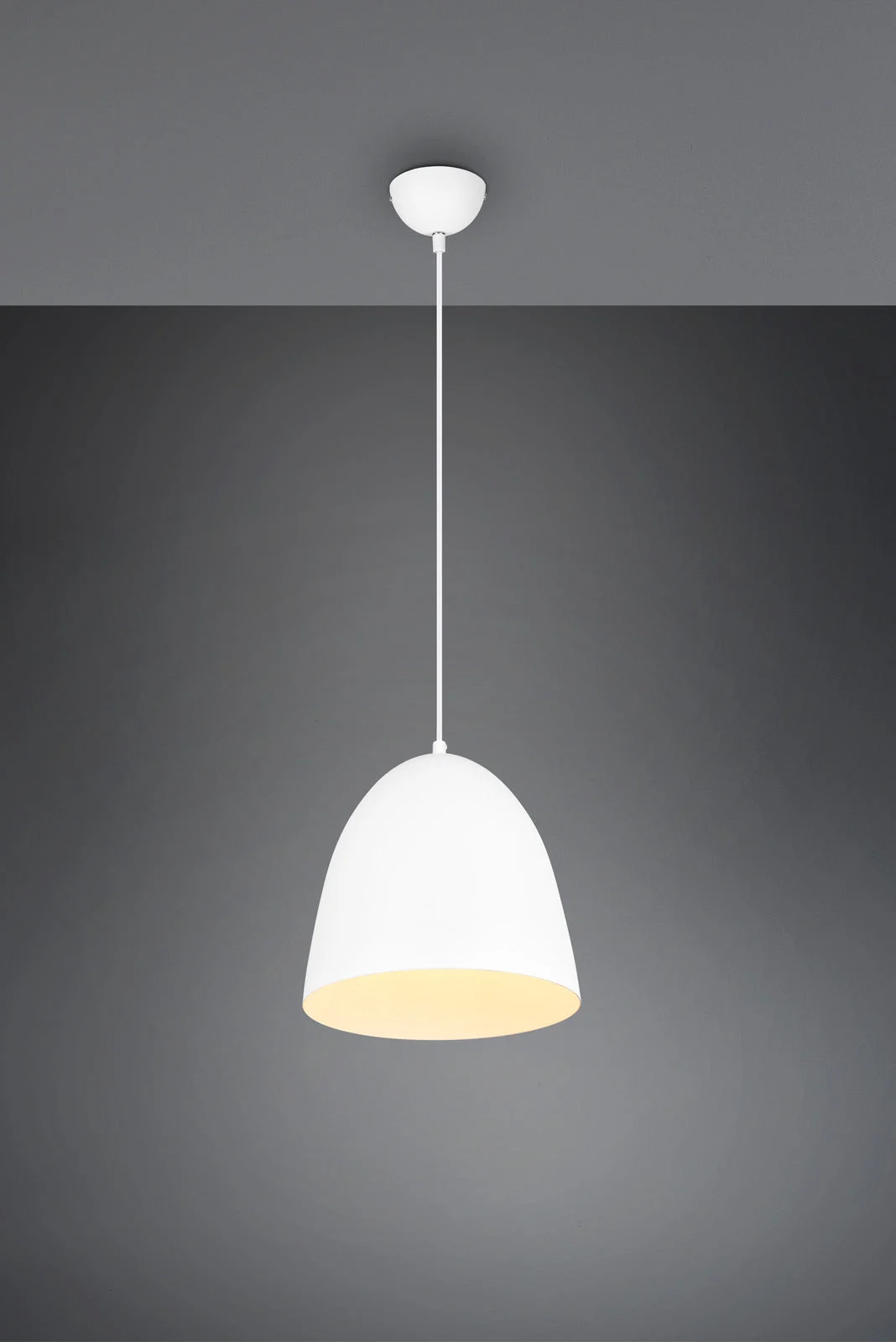 Trio Tilda Lámpara de techo colgante metal blanco mate R30661031