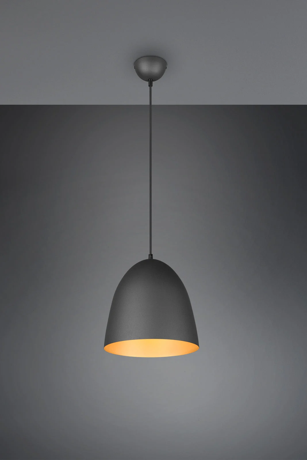 Trio Tilda Lámpara de techo colgante metal negro dorado R30661080
