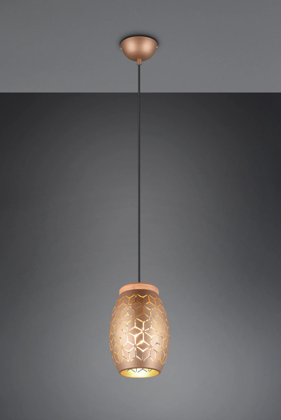 Lámpara de techo colgante Trio Bidar marrón café 150cm R31571065