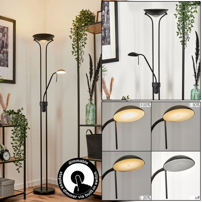 Biot Lámpara de Pie LED Negro, 2 luces
