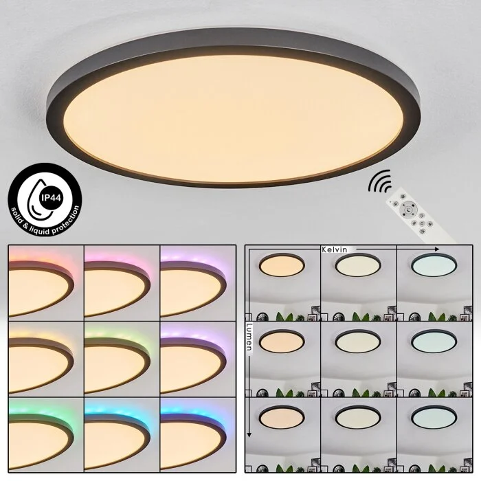 Boyero Lámpara de Techo LED Negro, 2 luces, Mando a distancia, Cambia de color