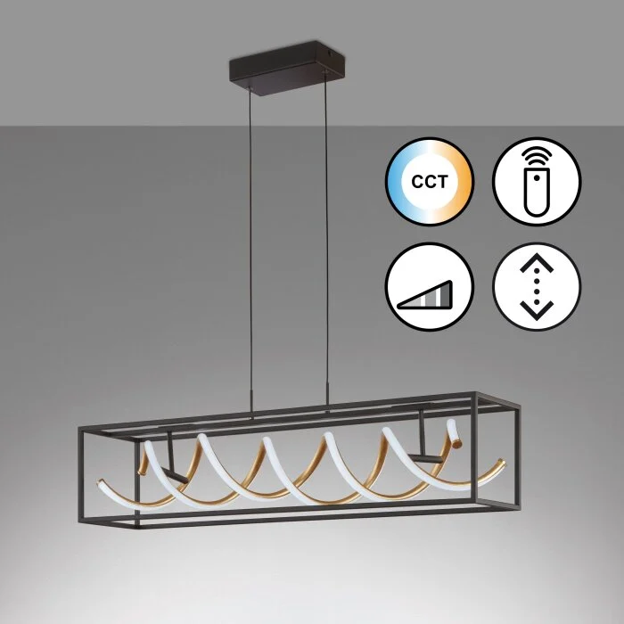 Fischer & Honsel Gian Lámpara Colgante LED Negro, 1 luz, Mando a distancia
