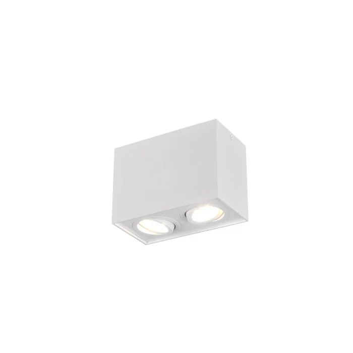 Lámpara de Techo Trio Leuchten BISCUIT Blanca, 2 luces