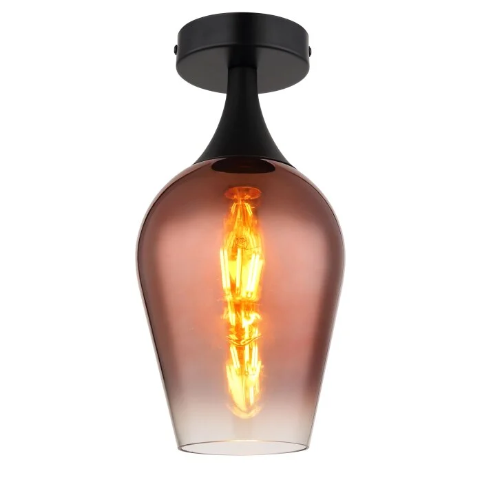 Lámparas Globo Lighting Lavus Plafones Negro, 1 luz