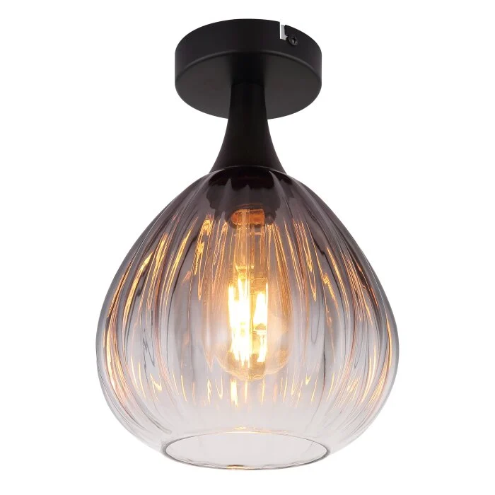 Lámparas Globo Lighting Olsen Plafones Negro, 1 luz