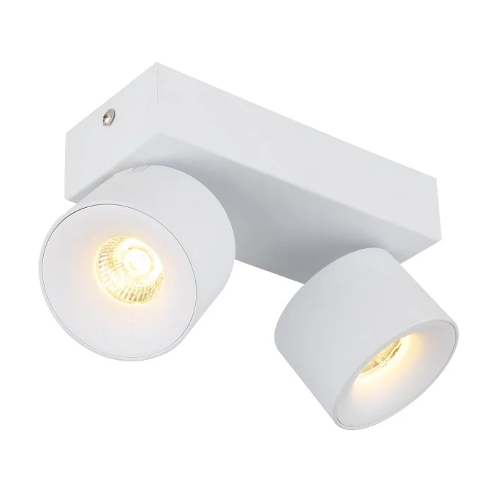 Lámparas Globo Lighting Rae Plafones LED Blanca, 2 luces