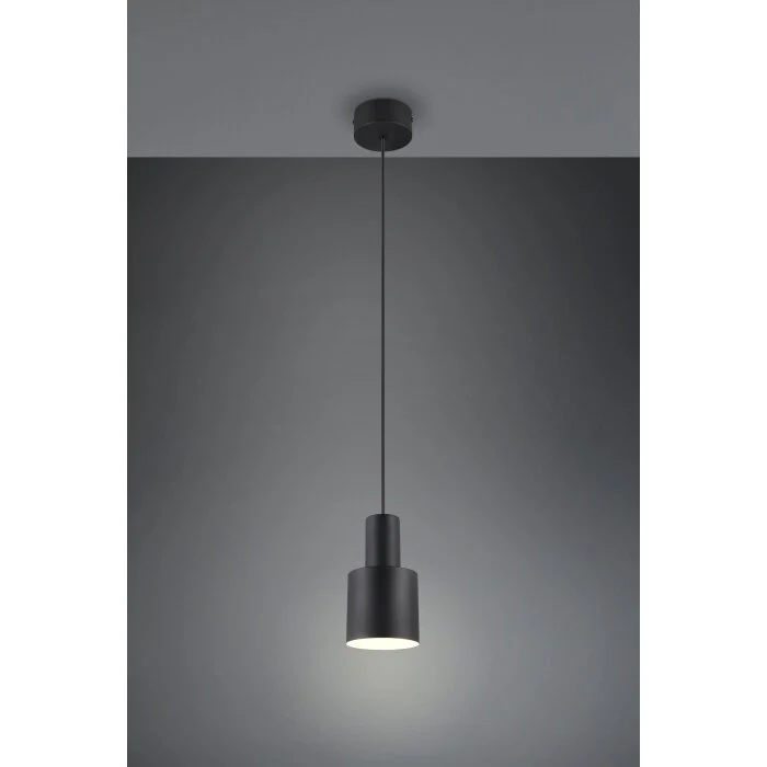 Lámparas Trio Agudo Lámparas colgantes Negro, 1 luz