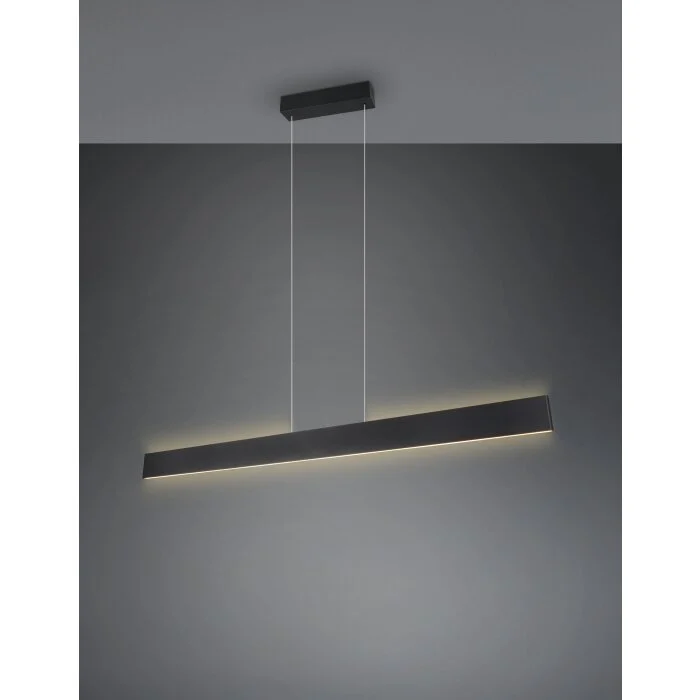 Lámparas Trio Galway Lámparas colgantes LED Negro, 1 luz