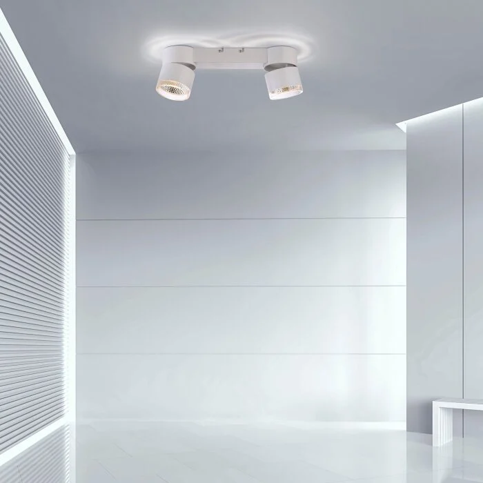 Paul Neuhaus PURE-NOLA Lámpara de Techo LED Blanca, 2 luces