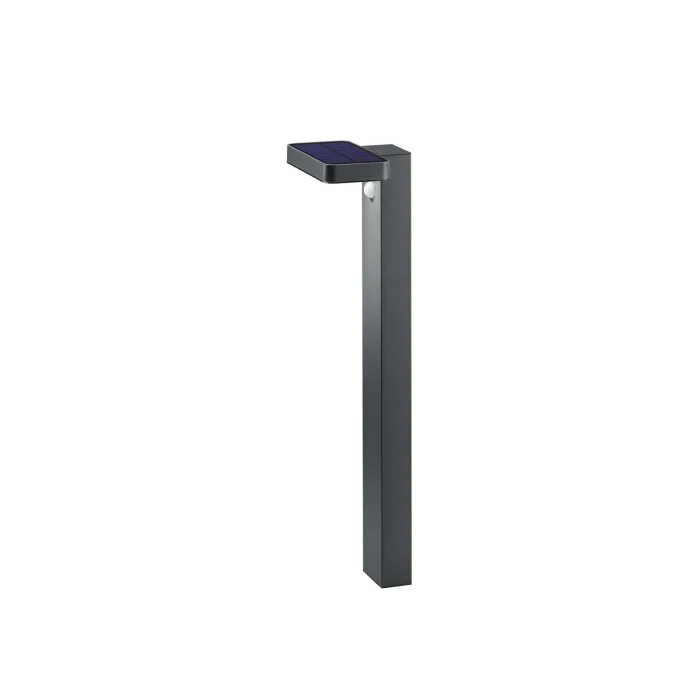 Reality Esquel Poste de Jardín LED Antracita, 1 luz, Sensor de movimiento