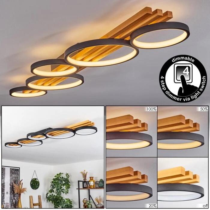 Rodekro Lámpara de Techo LED Negro, Blanca, 1 luz