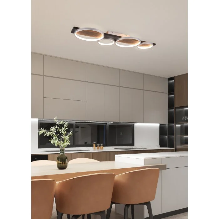 Trio Medera Lámpara de Techo LED Negro, Titanio, 1 luz