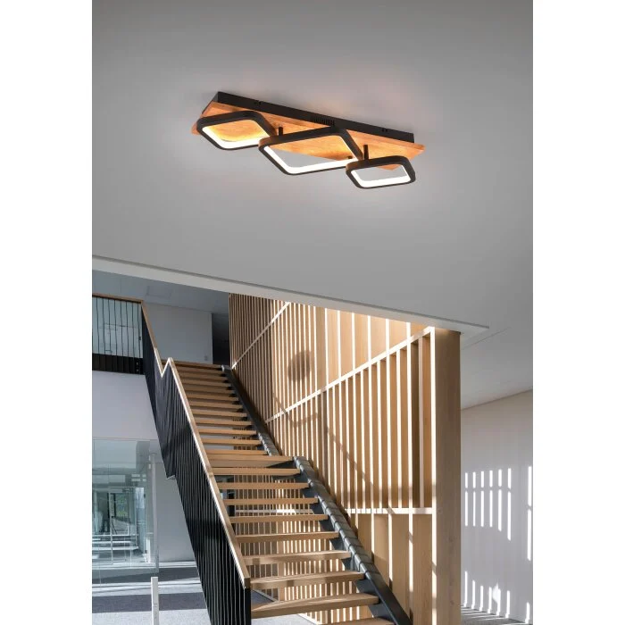 Trio Rama Lámpara de Techo LED Crudo, Negro, 1 luz