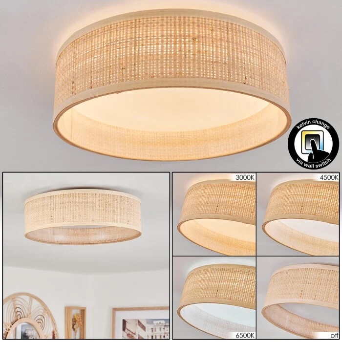 Wynona Lámpara de Techo LED Blanca, 1 luz